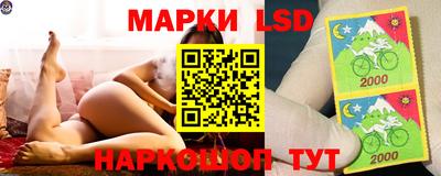 spice Бузулук